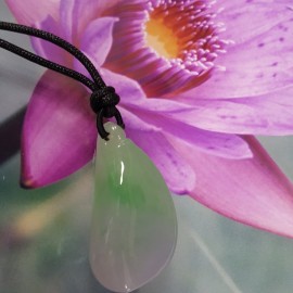 水滴滴春彩福瓜